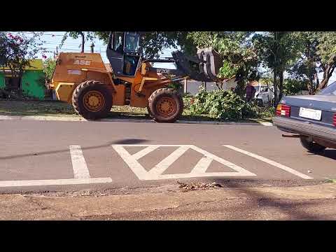 HOMENS DE BEM TRABALHANDO POR UMA CIDADE LIMPA E BEM CUIDADA