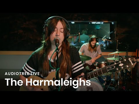 The Harmaleighs - Dim the Light | Audiotree Live