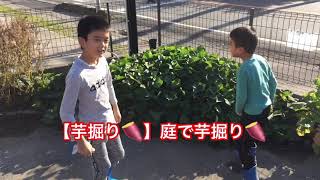 【芋掘り🍠】庭で芋掘り🍠