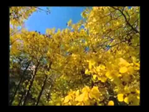 KavkaZ ClaN - Payız [Faust & Ramires]