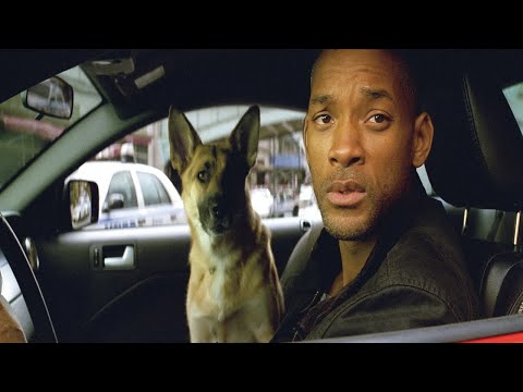 "Eu sou a lenda" que não tivemos com spoilers - nc294