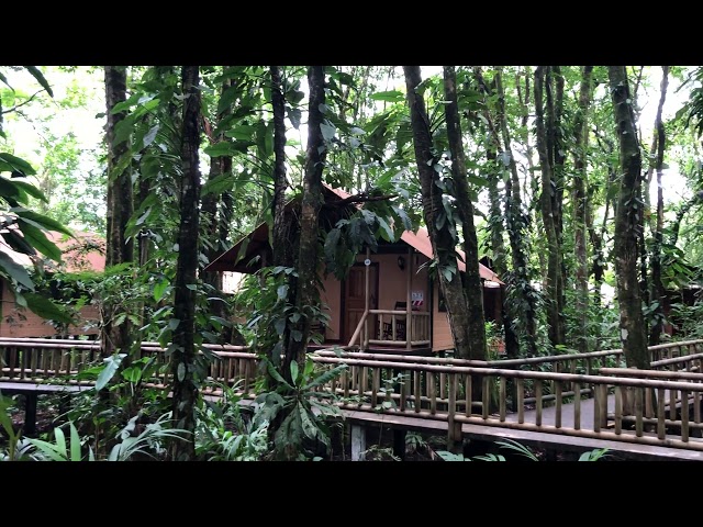 Video: Evergreen Lodge