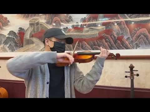 Handmade 1/2 Violin Outfit–One Piece Back,European Tonewood,Rich Tone,Case&Bow image 7