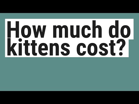 How much do kittens cost?