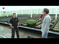 Het tulpenseizoen is officieel van start!