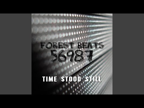Time Stood Still (Radio Edit)
