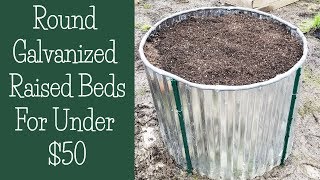 Building Round Galvanized Raised Beds for Under $50