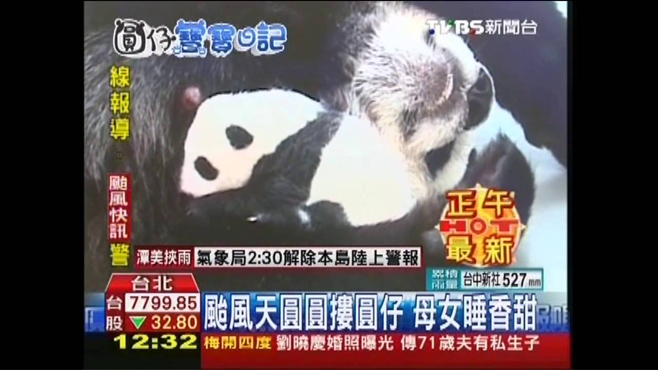 潭美颱風/颱風天圓圓摟圓仔 母女睡香甜