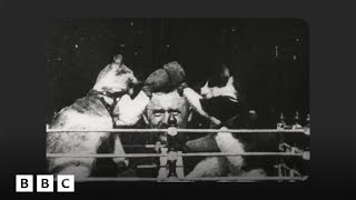 How early filmmakers invented the internet’s funniest trend | BBC Global
