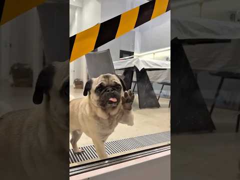 МЫ ВЫГНАЛИ ДЖОНИ ИЗ СЕМЬИ 😢