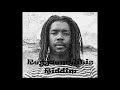 Peter Tosh - Reggaemylitis (Instrumental Riddim Remake)