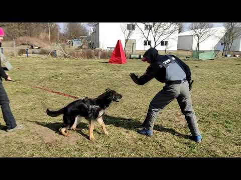 Dino nad Vlcou Dolinou-protection 7m