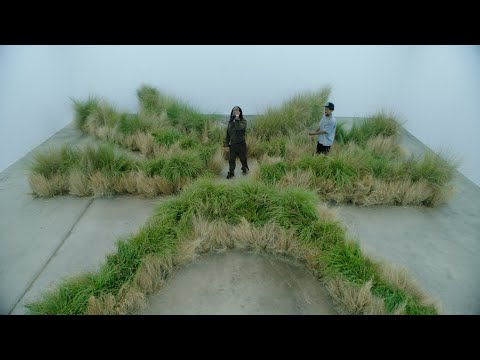 MAVI - Landgrab feat. Earl Sweatshirt (Official Video)