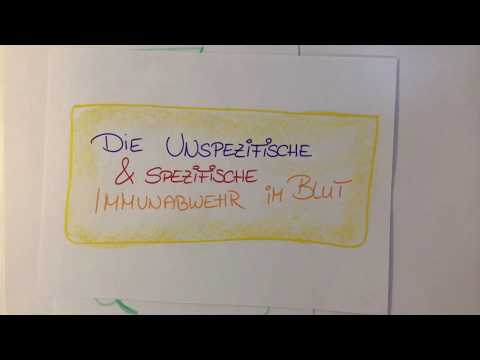 Spezifische und unspezifische Immunabwehr