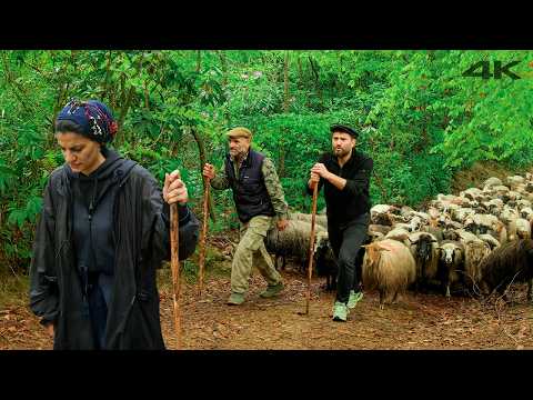 The Legacy of Tayyar Ağa | Documentary Film