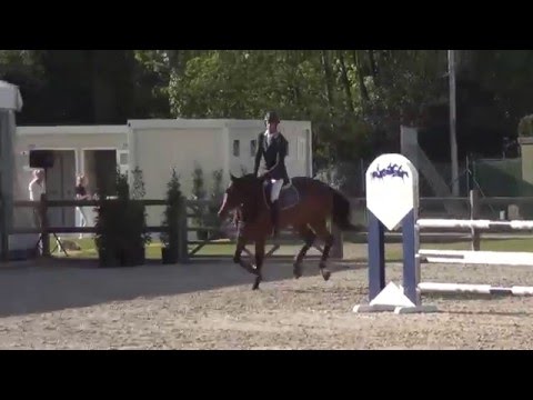 amarant Air jordan x coriano 5 year mare