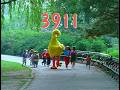 Sesame Street A Day With Big Bird And The Birdketeers