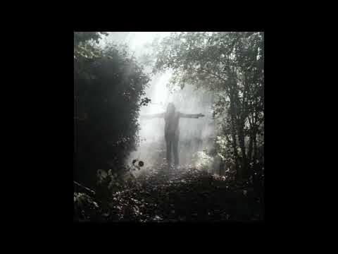 Crack of Light- Steve Sacre Aka.'20ThousandHurts'