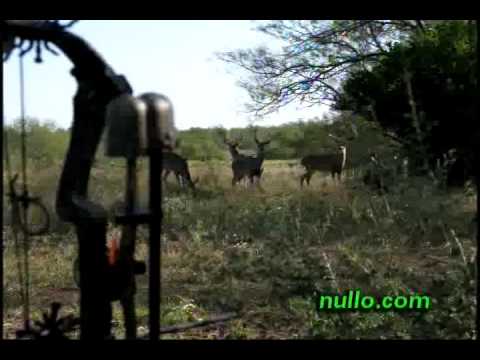 Nullo Internal Deodorant - Scent Control For Hunters