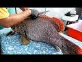 Thai Street Food GOLIATH GROUPER FISH Cutting Skills Bangkok Seafood Thailand
