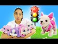 Spielspaß Mit Baby Born Chi Chi Love Hat Viel Zu Tun 3 Puppen Videos Am Stück