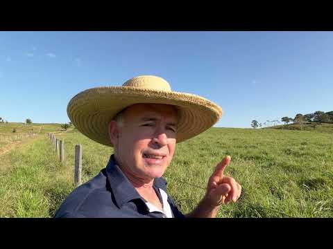 Fazenda linda em Corumbiara Rondônia Dicas de pecuária, Receitas  vem comigo você vai gostar 👍 