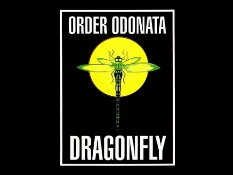 Dragonfly Records- Order Odonata  1994 Vol.1