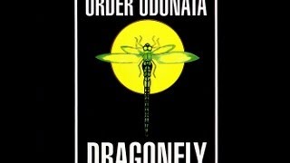 Dragonfly Records- Order Odonata  1994 Vol.1