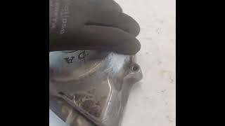 Vídeo de Tampa Esquerda Estator Honda Cg 125 Ml 1983 A 1992