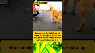 Download lagu Tidak ada kebaikan yang sia-sia 🥺 #inspiration #shortvideo #motivation mp3 Download lagu Tidak ada kebaikan yang sia-sia 🥺 #inspiration #shortvideo #motivation mp3