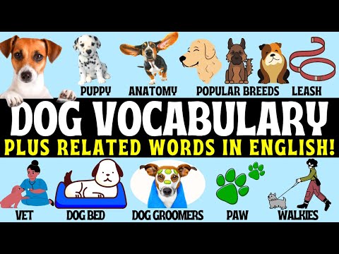 Basic Dog  Vocabulary