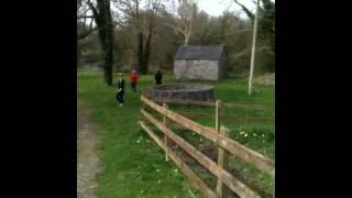 preview picture of video 'Castle Durrow grounds walk - down by the Erkina river'