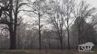 preview picture of video '3-5-15 Terry, MS Iced Trees *Brandon Clement*'