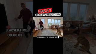Uncut dog training in real time 👀