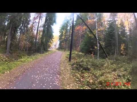 Annaloppet 2014 - 5,2 km (Löparperspektiv, lång)