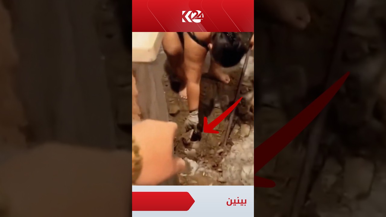 ڤیدیۆ | خەونەکەی بووە راستی؛ ژنێک لە بەرازیل خەون بە قۆرییە زێڕێک دەبینێت لە ژێر چێشتخانەی ماڵەکەی...