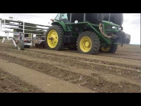 Marc Suderman #133 - Tomato transplanting: 3/14/12