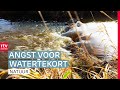 'We moeten het water in Drenthe vasthouden' | ROEG! | RTV Drenthe