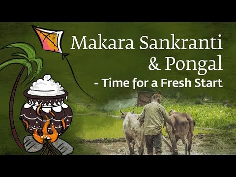 Makara Sankranti & Pongal – Time for a Fresh Start