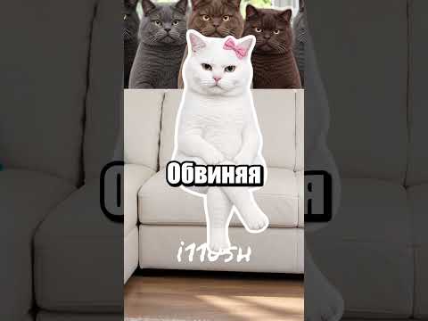 Зеркальный срок: Идея, которая пугает лжесвидетелей