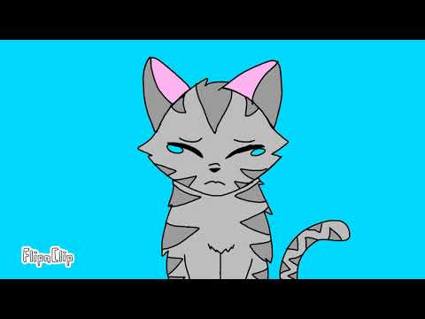 Jaykit doesn't like the snow