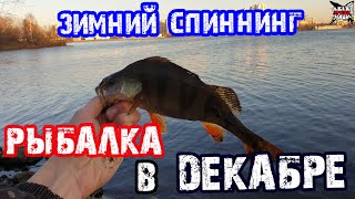 Ловля на москва реке в декабре