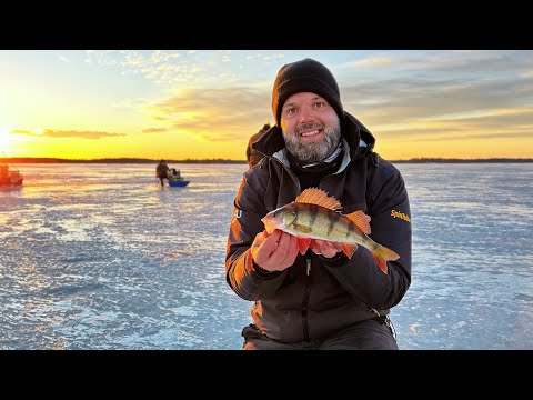 Pilkillä aamusta iltaan - Ahvenen pilkintä Merenkurkussa