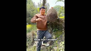 🐝❤️ This Man Earned the Complete Trust of His Bees! 😲#usa