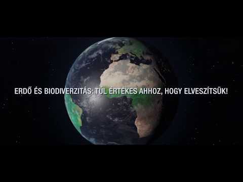 dolgozzon ki valódi jövőképet