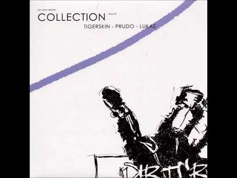 tigerskin - the day after