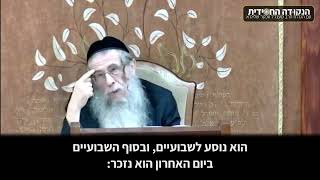 הגה״ח הרב ווכטר שליט״א | לכל אחד יש תפקיד (הרב אברהם מנחם מענדל וכטר) - התמונה מוצגת ישירות מתוך אתר האינטרנט יוטיוב. זכויות היוצרים בתמונה שייכות ליוצרה. קישור קרדיט למקור התוכן נמצא בתוך דף הסרטון