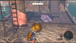 夏休み中に頑張った魔物退治　【ゼルダの伝説 ティアーズオブザキングダム】【ティアキン】