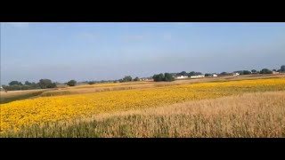 Roadtrip in Countryside farms