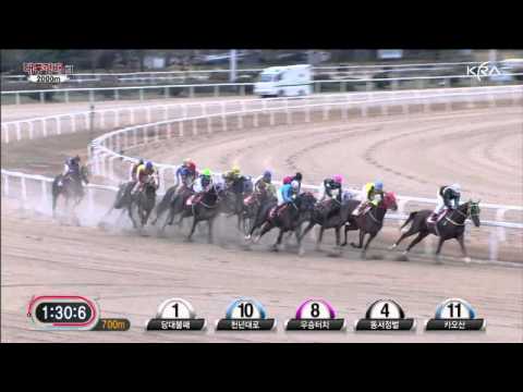 2011 The President's Cup (G1) - Dangdae Bulpae